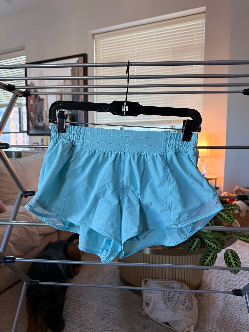 Lululemon Hottie Hot Shorts